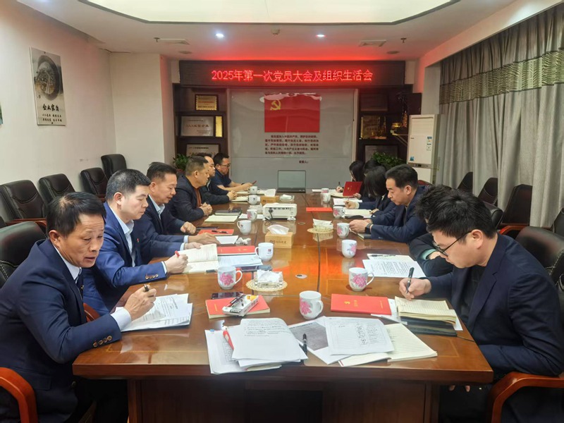 湖南交建集團(tuán)黨支部召開2024年度組織生活會暨民主評議黨員會議