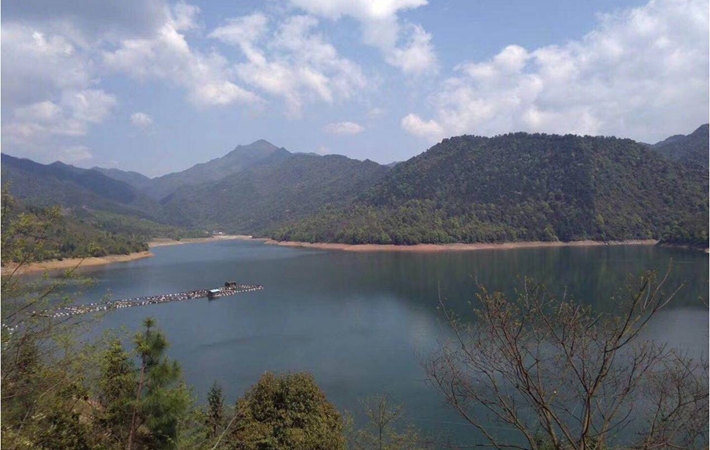 踏青燒烤樂享初夏