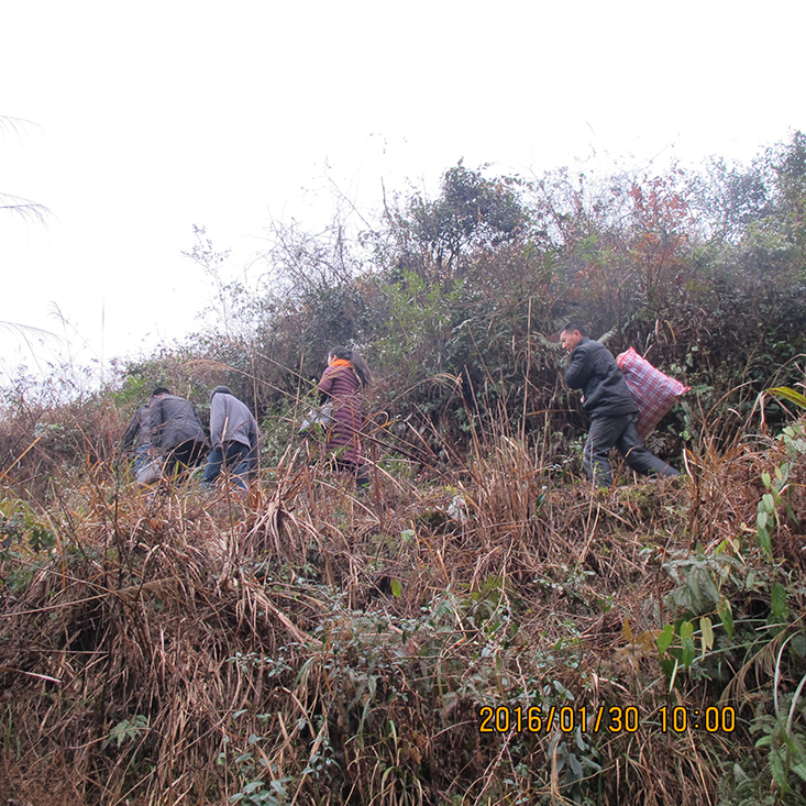 宇通建設公司向炎陵縣貧寒學子助學送溫暖活動