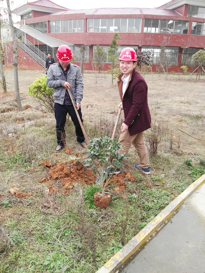 種一棵小樹(shù)，綠一方凈土