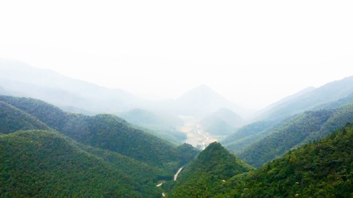 心懷赤誠，譜寫光輝業(yè)績